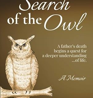 In Search of the Owl By Jean E. Sidinger (Author)